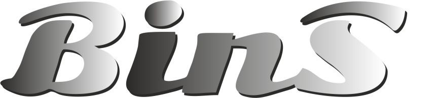 ГК «БИНС»